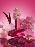 Multi Calvin Klein Euphoria Magnetic Elixir Parfum for Women 100ml  Women