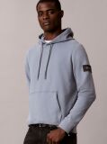 Γκρι Βαμβακερό Hoodie Με Κουκούλα Και Λογότυπο  Άνδρας