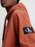 Πορτοκαλί Βαμβακερό Hoodie Με Λογότυπο  Άνδρας