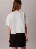Γκρι Κοντομάνικο T-Shirt Με Graphic Τύπωμα Και Crop Boxy Γραμμή  Γυναίκα