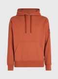 Πορτοκαλί Βαμβακερό Hoodie Με Λογότυπο  Άνδρας