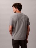 Γκρι T-Shirt Με Λογότυπο  Άνδρας