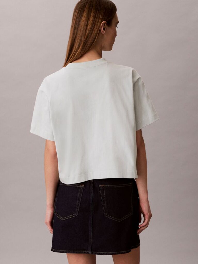 Γκρι Κοντομάνικο T-Shirt Με Graphic Τύπωμα Και Crop Boxy Γραμμή  Γυναίκα