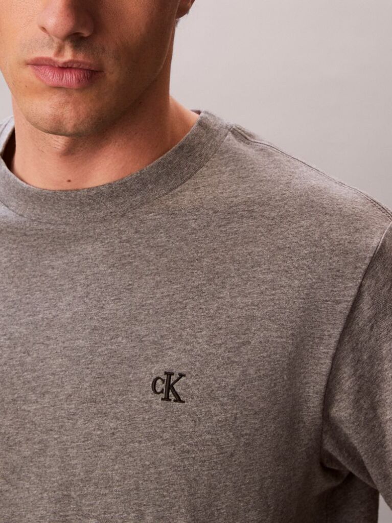 Γκρι T-shirt Με Λογότυπο  Άνδρας