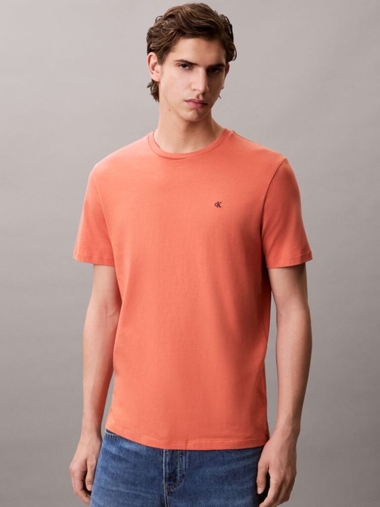 Πορτοκαλί T-Shirt Με Κανονική Λαιμόκοψη  Άνδρας