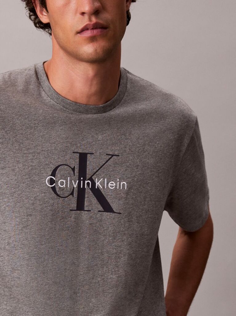 Γκρι T-Shirt Με Λογότυπο  Άνδρας